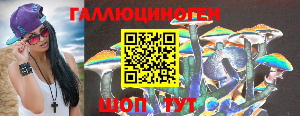 Галлюциногенные грибы GOLDEN TEACHER Новошахтинск